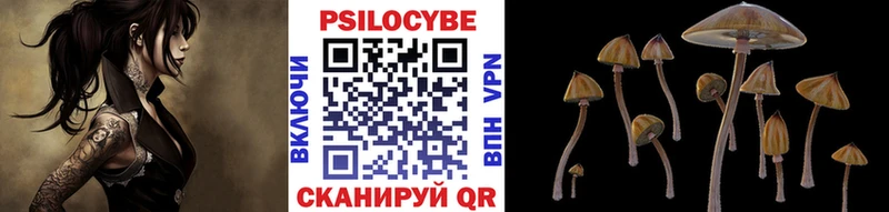 Псилоцибиновые грибы MAGIC MUSHROOMS  Купить закладки  Подольск 
